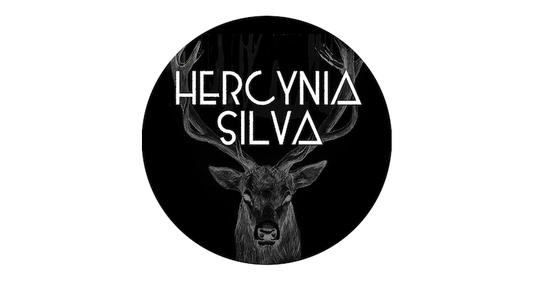 HERCYNIA-SILVA-1.jpg