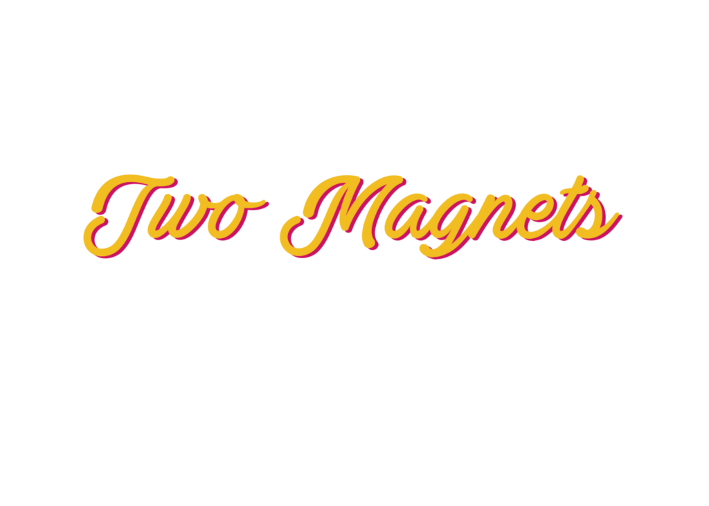 typo-two-magnets-2.png